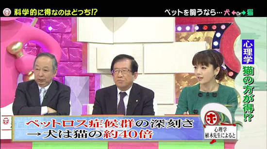 《犬派VS貓派》以科學角度分析～人生比較幸福的揪竟是哪一派呢？ - 圖片14