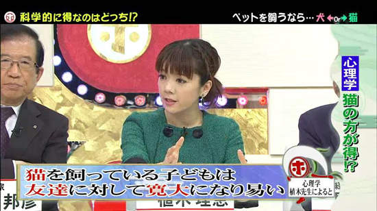 《犬派VS貓派》以科學角度分析～人生比較幸福的揪竟是哪一派呢？ - 圖片15