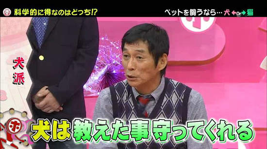 《犬派VS貓派》以科學角度分析～人生比較幸福的揪竟是哪一派呢？ - 圖片4