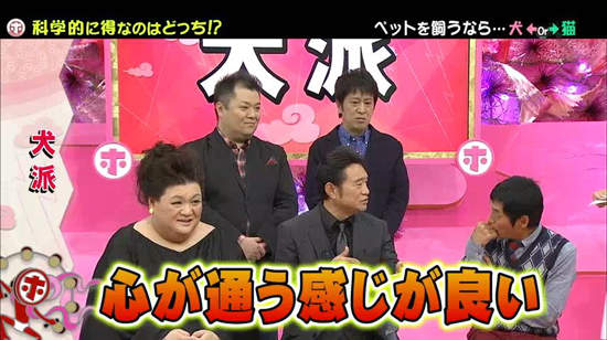 《犬派VS貓派》以科學角度分析～人生比較幸福的揪竟是哪一派呢？ - 圖片5