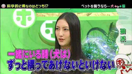 《犬派VS貓派》以科學角度分析～人生比較幸福的揪竟是哪一派呢？ - 圖片6