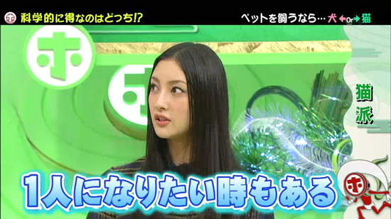 《犬派VS貓派》以科學角度分析～人生比較幸福的揪竟是哪一派呢？ - 圖片7