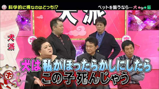 《犬派VS貓派》以科學角度分析～人生比較幸福的揪竟是哪一派呢？ - 圖片8