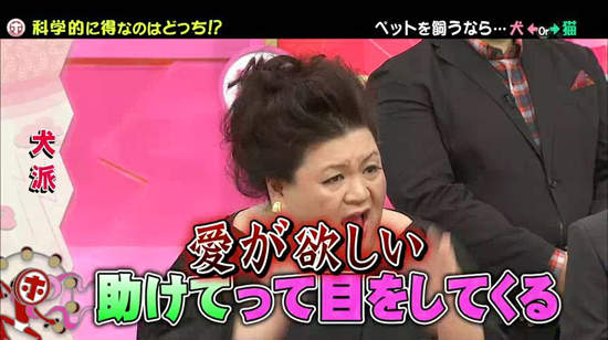 《犬派VS貓派》以科學角度分析～人生比較幸福的揪竟是哪一派呢？ - 圖片9