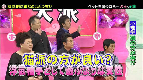 《犬派VS貓派》以科學角度分析～人生比較幸福的揪竟是哪一派呢？ - 圖片17