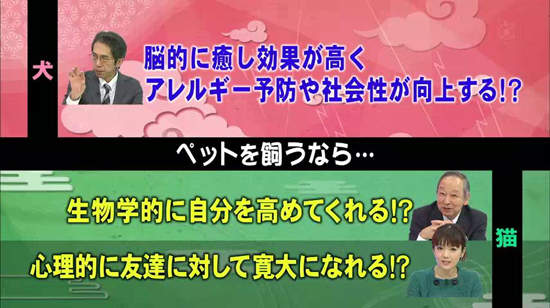 《犬派VS貓派》以科學角度分析～人生比較幸福的揪竟是哪一派呢？ - 圖片19
