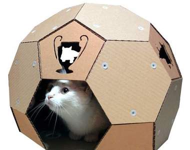 結合紙箱屬性的《貓居所》朕要住的屋子能差到哪去（跩）