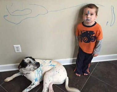 《爸媽的辛酸》虧這些父母還能冷靜拍張照先啊www