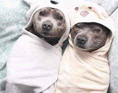 比親兄弟還親的《Darren&Phillip》麻吉就是連衣服都穿一樣♥