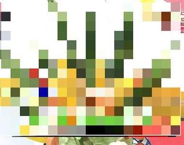 《超前衛藝術料理》這到底是插花還是在放煙火www