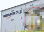 日本Amazon《期間限定除草機》今年再次出動也是寵兒 日本Amazon《期間限定除草機》今年再次出動也是寵兒