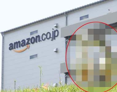 日本Amazon《期間限定除草機》今年再次出動也是寵兒