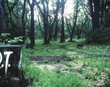 4月29日之後的《P.T.》市場只要有需求就有供給啦…