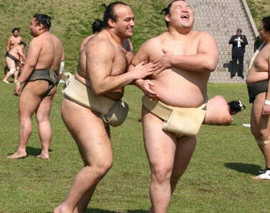 少女感超重的《日本相撲協會》這肉肉樂園裡的一切未免也太歡樂惹吧ww