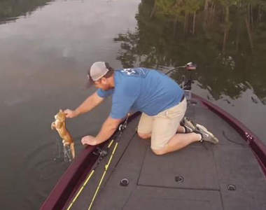 釣魚釣到兩隻貓!?不惜下水也要遊過來求救...(´;ω;`)
