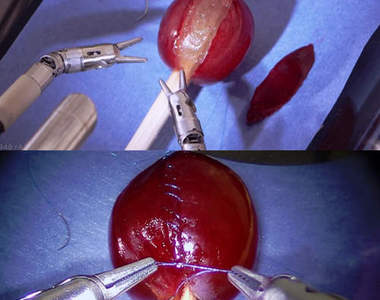 《網路宅神人》把葡萄的皮縫回去是有沒有這麼搞岡？