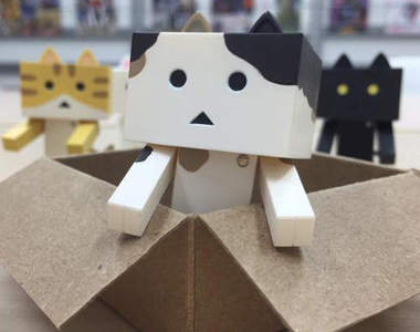 《貓耳阿愣》紙箱人多了耳朵跟尾巴又要可愛破表惹