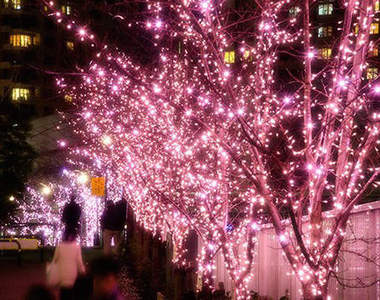 《目黑川夜晚的冬櫻》LED燈打造的冬日櫻花 光輝燦爛美哭人啊～