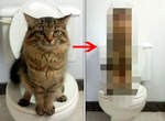 網友分享《教貓咪在馬桶上廁所》便便時出現超可愛的謎樣姿勢？