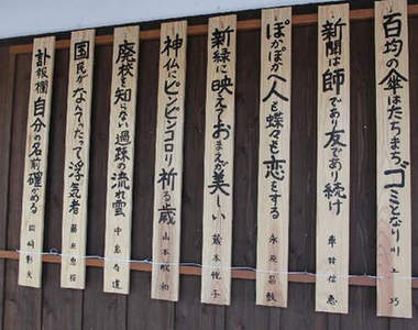 超無奈《銀髮族川柳》難道自己戀愛了？結果是心律不整wwww