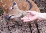 《被動物全力拒絕的12個瞬間》有必要這麼嫌棄嗎?囧 《被動物全力拒絕的12個瞬間》有必要這麼嫌棄嗎?囧