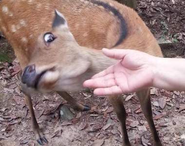《被動物全力拒絕的12個瞬間》有必要這麼嫌棄嗎？囧
