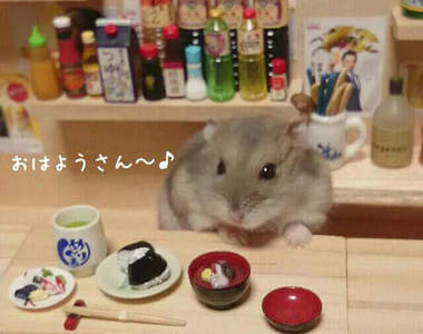 《倉鼠居酒屋》店長銀次辭世 為倉鼠兄弟祈禱走出傷痛……