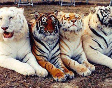 《生到沒墨水》生孩子前記得加夠墨水唷XD