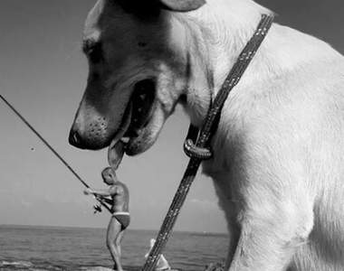 錯覺圖片《超巨大的狗》看第二次才能了解