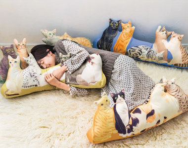 《圍繞貓抱枕》讓你體驗身處貓咪後宮（？）的感覺