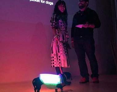 LED狗背心《Disco Dog》讓你的毛小孩越夜越美麗✪ω✪