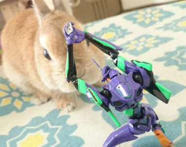 《使徒入侵預想圖》使徒沒來只好改圖作圖假裝它有來好了