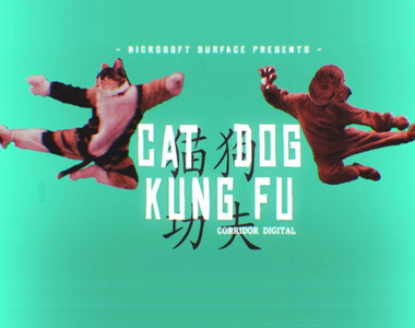 《貓狗功夫》原來家裡一團亂的原因是這樣！？