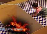 《在母子面前隔一條懸崖》這項實驗考驗極致的親子力 《在母子面前隔一條懸崖》這項實驗考驗極致的親子力