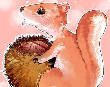 跟栗子做愛的《陰蒂松鼠》害我再也不想吃栗子了……