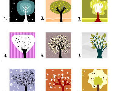 《樹木心理測驗》選棵樹也能看出你的個性？