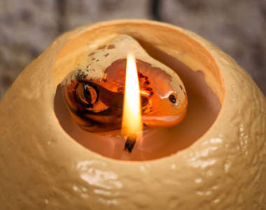 《恐龍蛋蠟燭》可以自己在家孵化出小迅猛龍囉♥