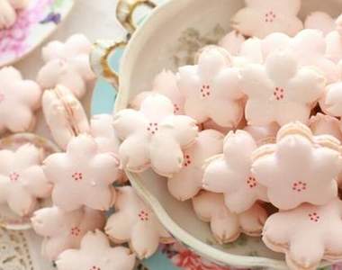 韓國《櫻花馬卡龍》春天就是要粉嫩一下♪