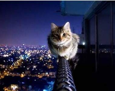 《唯美的停止瞬間》就是那個moment讓人移不開眼