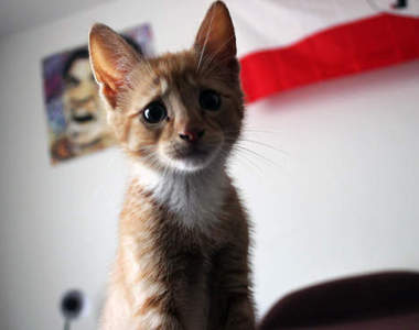 《這就是開工的節奏》我跟我的小夥伴都震驚了