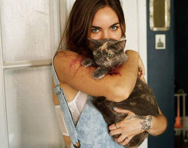 《被領養的喵星人攝影集》紐約攝影師鏡頭下的愛心女主人