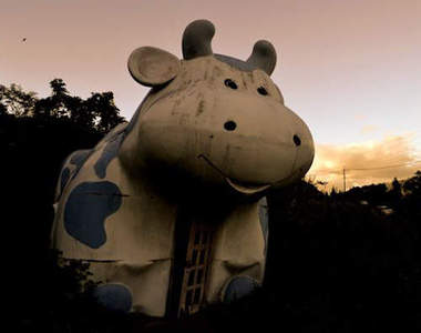 療癒系廢墟《廢牛》公路旁怎麼會有一頭牛啊?