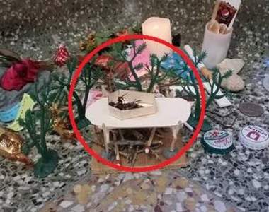 由學生舉辦的《小強告別式》辦到後面一發不可收拾......