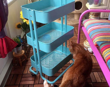 《RASKOG架活用法》網友們大推的幾招一定要參考看看