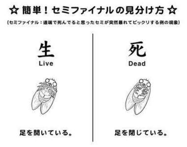 推特流傳《雜學事物分辨法》該說是實用還是雞肋勒?