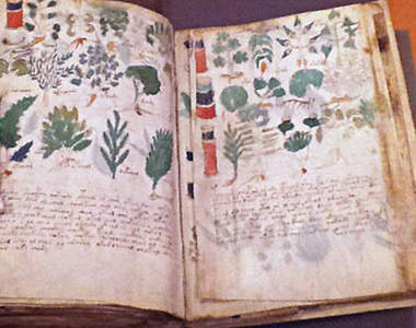 都市傳傳說《15世紀神秘手稿》頂尖解碼專家們都瘋狂解密