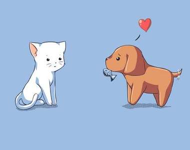 《貓與狗的差別》這些事實我們都知道別再說了（掩面）