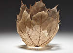 《枯葉碗》Kay Sekimachi 保留大自然的藝術 就像是精靈的皇冠 《枯葉碗》Kay Sekimachi 保留大自然的藝術 就像是精靈的皇冠