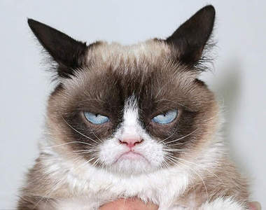 討厭社交嗎～這15句有多少是你的OS？