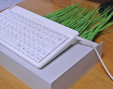 詭異發明《長草的鍵盤》達人都喜歡做一些妨礙自己的怪東西?